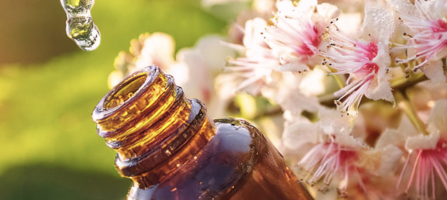 fb1 Méthodes et approches